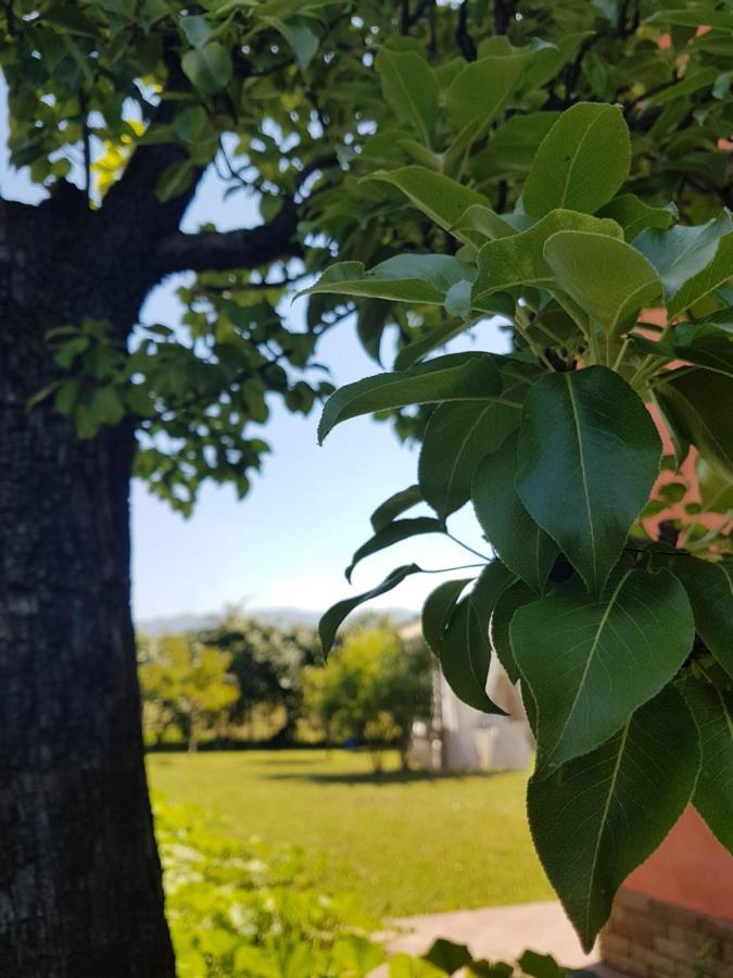 Appartamenti Ca'Melia Sarzana Bagian luar foto