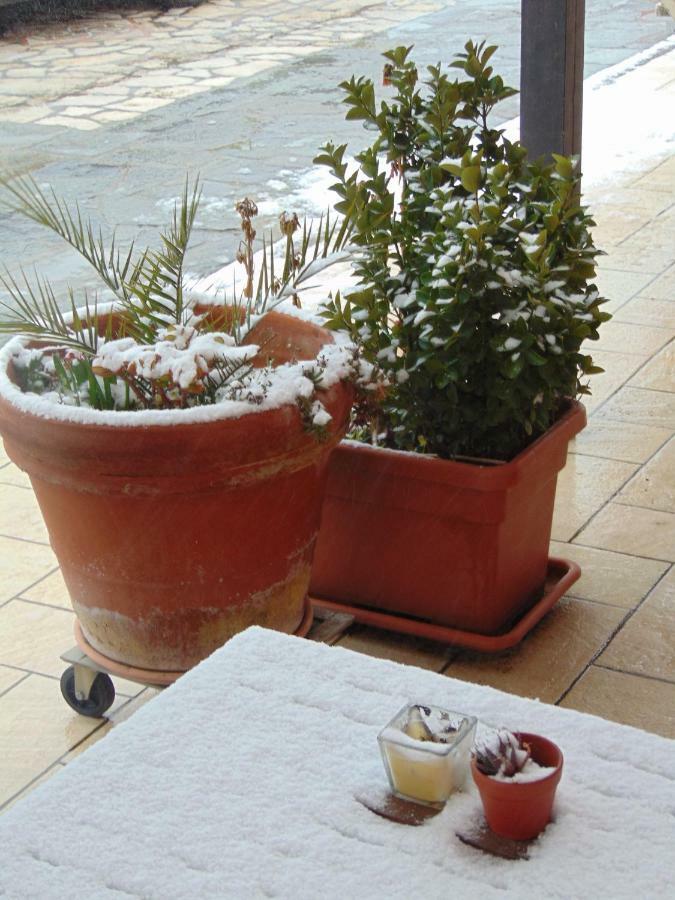 Appartamenti Ca'Melia Sarzana Bagian luar foto
